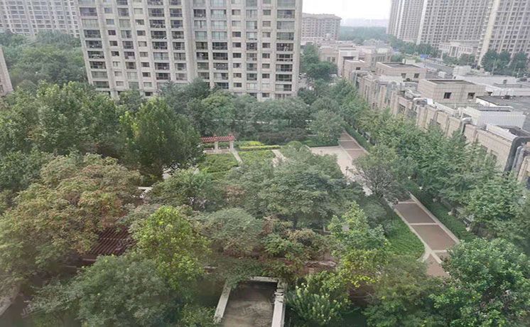 朝阳区 姚家园路95号院6号楼9层1单元1001号（泛海国际香海园）