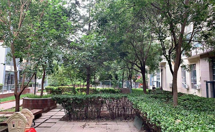 朝阳区 百子湾东里314号楼14层2单元1401室（沿海赛洛城）