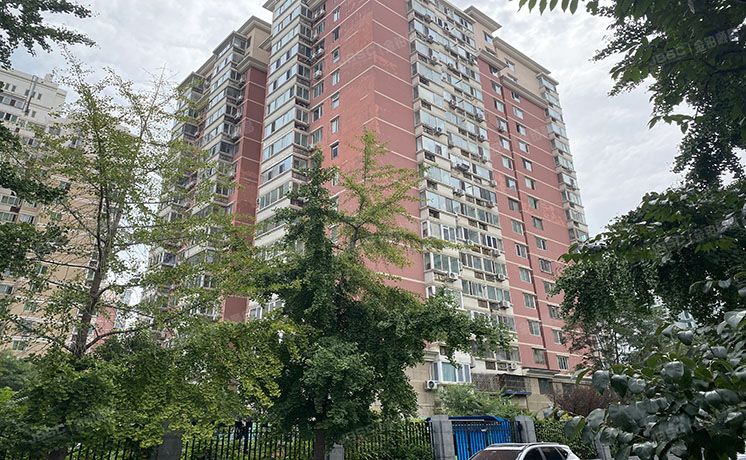 朝阳区 南十里居17号楼11层1109号（东风家园）