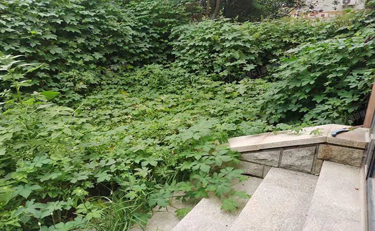 朝阳区 双桥东路9号二区78号楼1至3层623（康城别墅）别墅