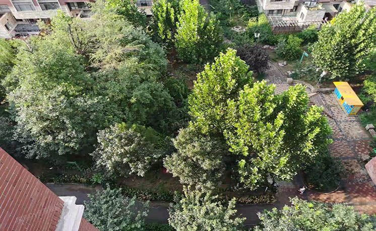 通州区 砖厂北里131号楼10层1单元1001号（金隅花石匠）