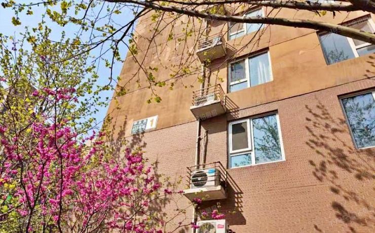 昌平区 奥北中心北区1号楼4层1单元508  办公