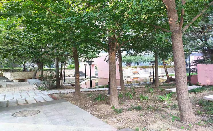 海淀区 西屋国际公寓6号楼10层1102室