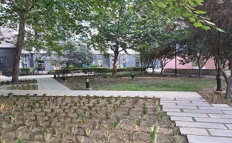 海淀区 西屋国际公寓6号楼10层1102室