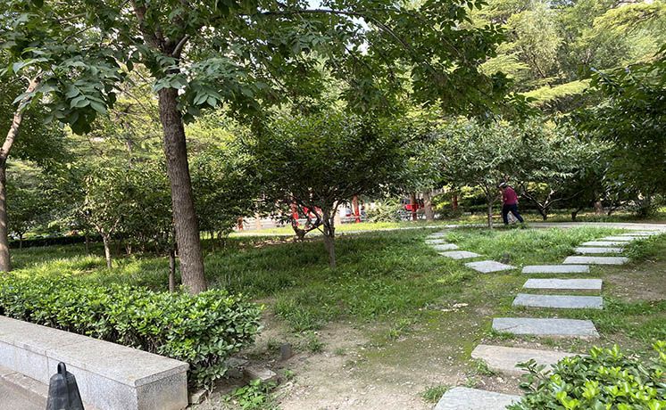 西城区 椿树园11号楼16层1611