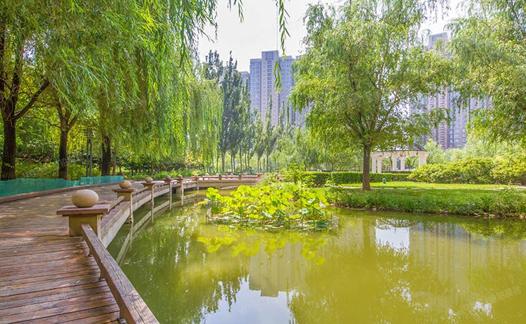 朝阳区 世茂奥临花园5号楼8层1单元0901