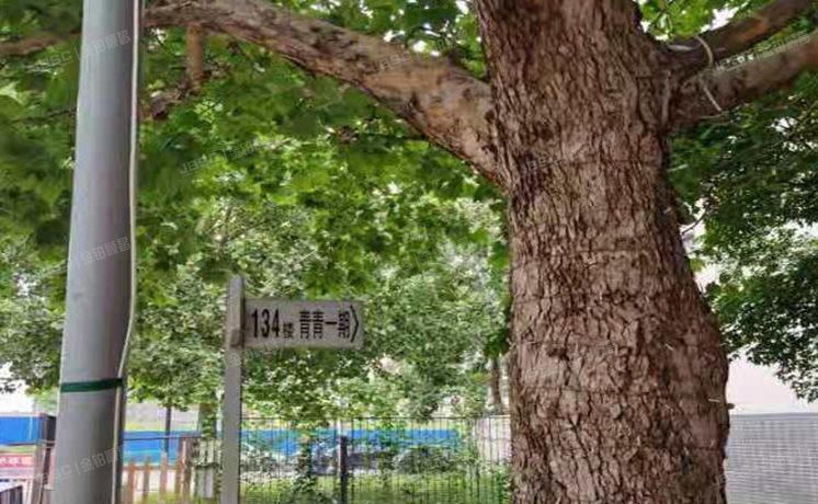 朝阳区 青青家园134号楼4至5层2门402号