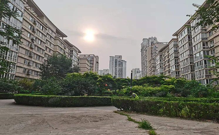 朝阳区  拂林园2号楼401号