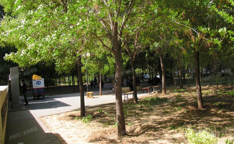 朝阳区 翠成馨园408号楼13层1302四分之一份额