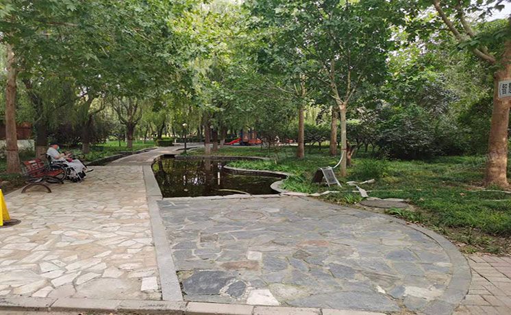 朝阳区 青青家园134号楼4至5层2门402号