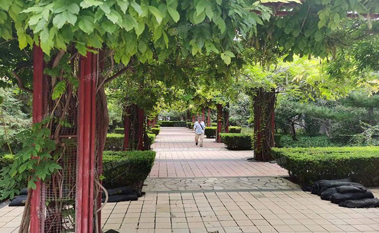 朝阳区 青青家园134号楼4至5层2门402号