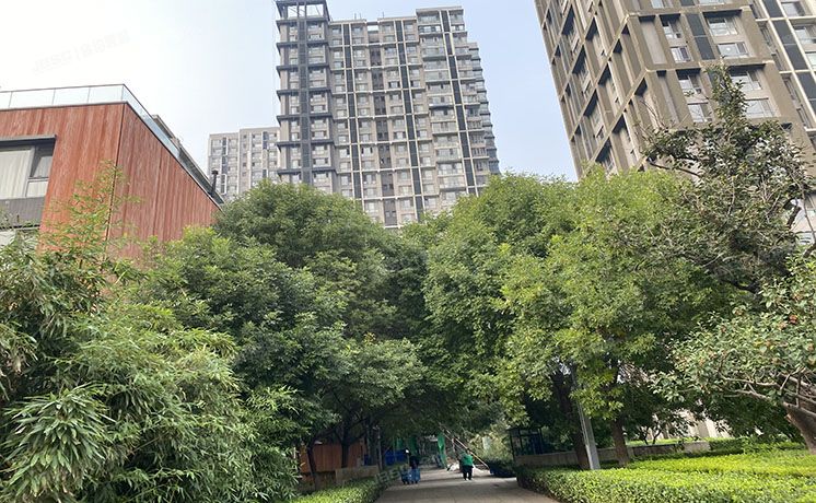 朝阳区 北纬40度东区8号楼2单元702室