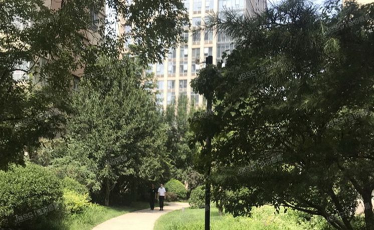 经济技术开发区 林肯公园11号楼11层1201