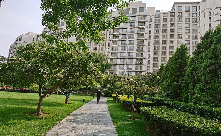 朝阳区 公园大道3幢9层3-9-D号