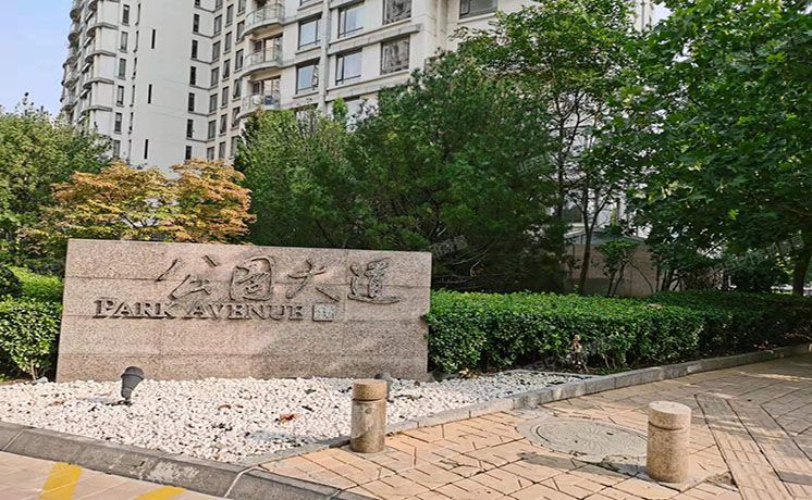 朝阳区 公园大道3幢9层3-9-D号