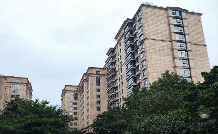 海淀区 嘉豪国际中心11层D座1202号 综合