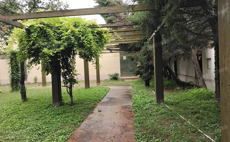 顺义区 丽高王府A-3幢1至3层 别墅