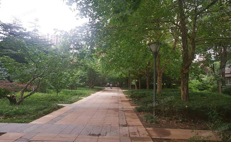 经济技术开发区 林肯公园11号楼11层1201