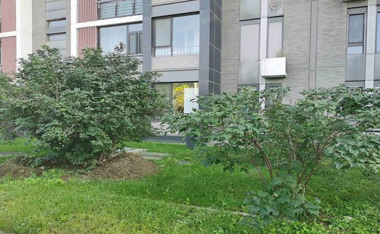 朝阳区 国奥村1号楼1层2单元101