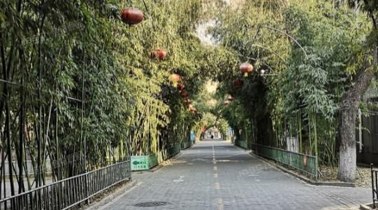 昌平区 龙脉温泉花园3A号楼3层301