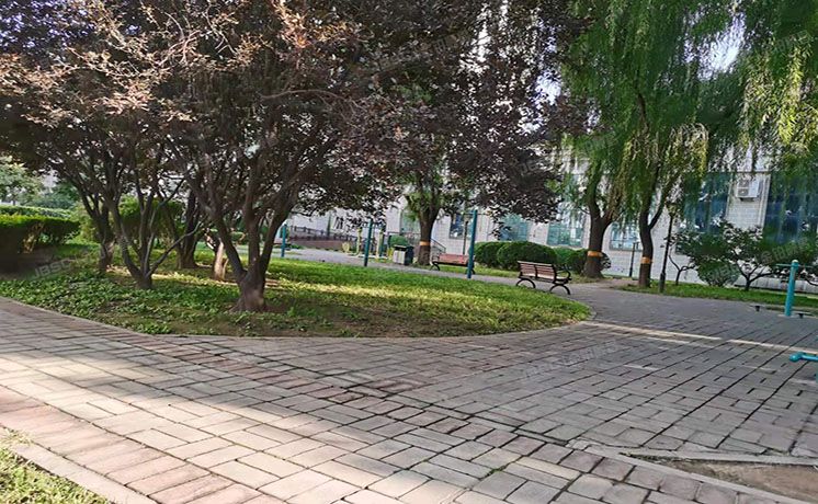 朝阳区 东环18公寓4号楼3门1102室