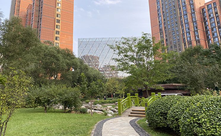 朝阳区 火星园9号楼5层1单元1053