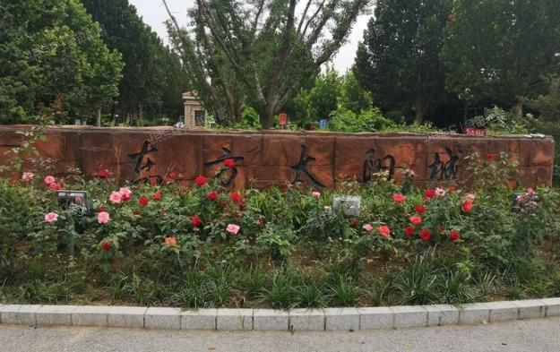 顺义区 东方太阳城105号楼2层2单元203号