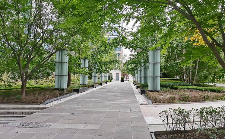 朝阳区 瑞安君汇3号楼9层4单元1005