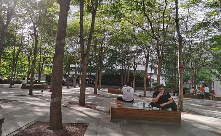 朝阳区  八里庄西里97号11层1209（住邦2000）