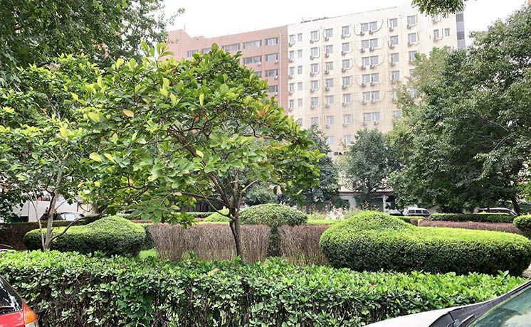 朝阳区 小营路9号3号楼910号（亚运豪庭）