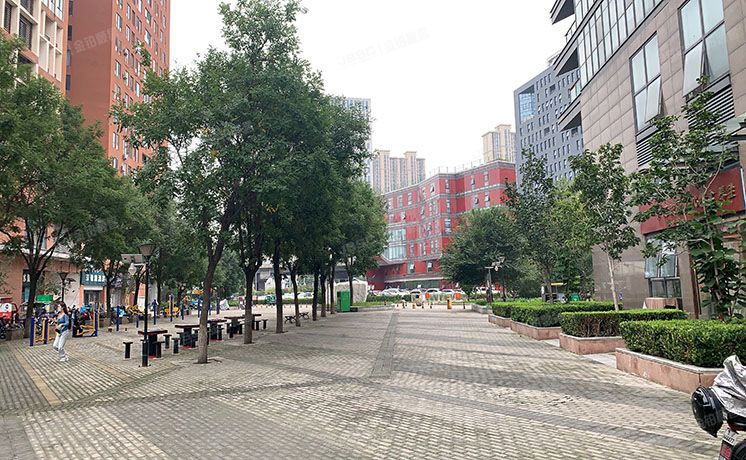 朝阳区 沿海赛洛城402号楼20层2002号