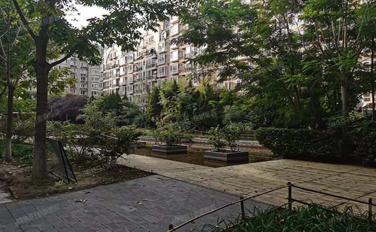 朝阳区 金港国际3号楼1层6单元101