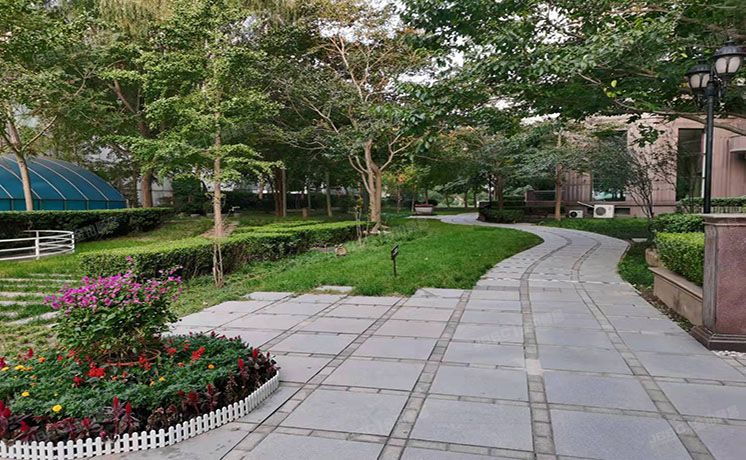 朝阳区 光华西里1号5号楼20层2302（温莎大道）