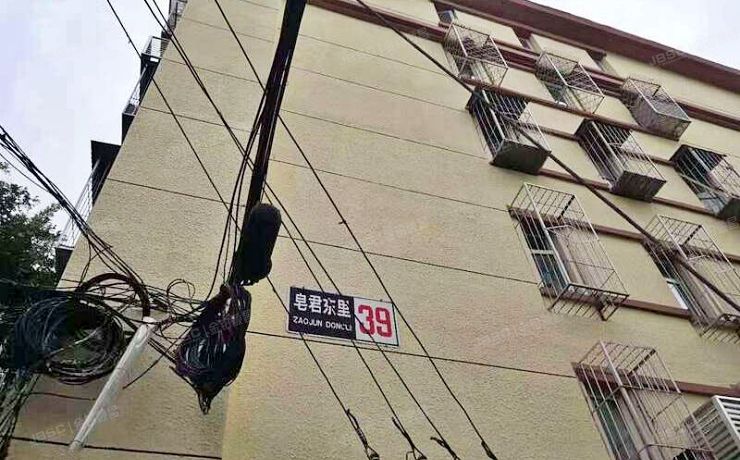 海淀区 皂君东里39号楼1层3门102（皂君东里）