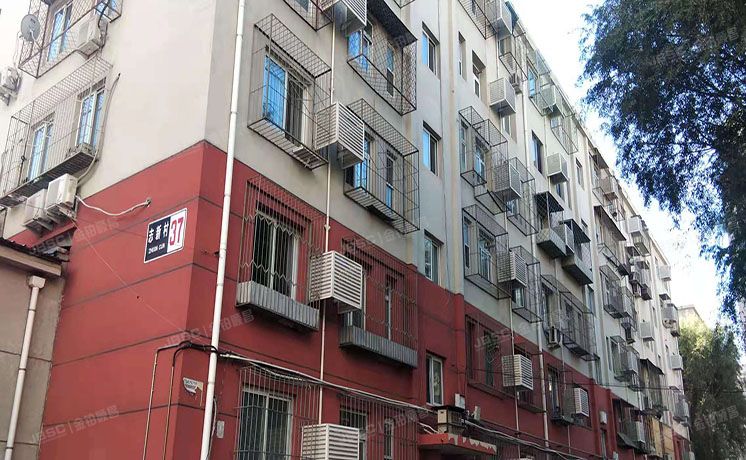 海淀区 志新村37号楼5层3-503（志新村）