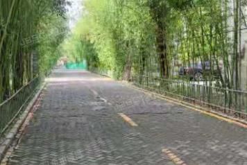 昌平区 龙脉温泉花园3A号楼3层302号（龙脉温泉花园）