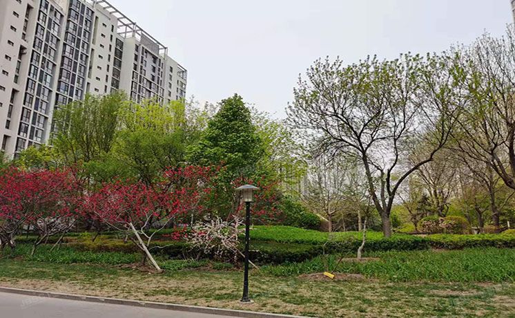 通州区 杨庄北里4号楼22层2单元2204（天时名苑）