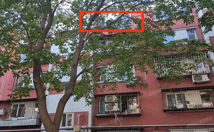 海淀区 中关村南大街12号四区16号楼二单元五层505号（农科院）