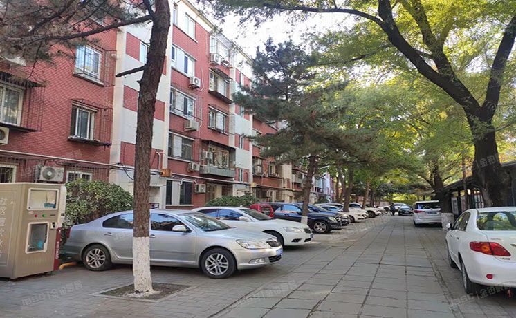 海淀区 中关村南大街12号四区16号楼二单元五层505号（农科院）