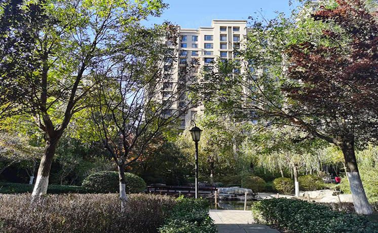 通州区 玉桥西里96号楼8层2单元802（远洋东方公馆）