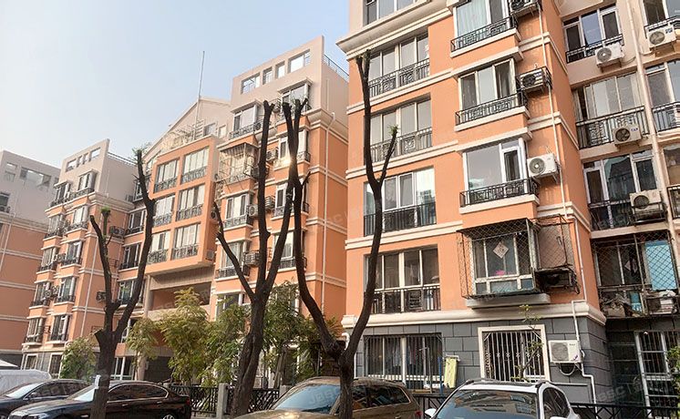 朝阳区 紫南家园215号楼5层10单元501（紫南家园）