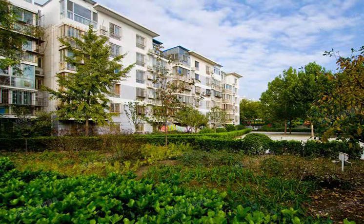 海淀区 建材城东一里16号楼2层1门202（建材城东一里）