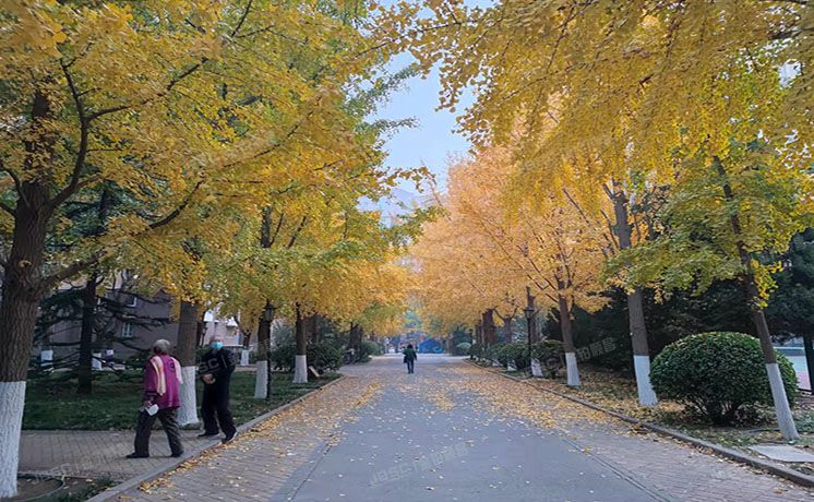 海淀区 万柳阳春光华家园6号楼7层701（阳春光华家园）