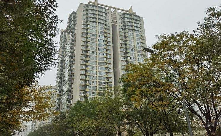 朝阳区 广渠路66号院17号楼5层509（百环家园）