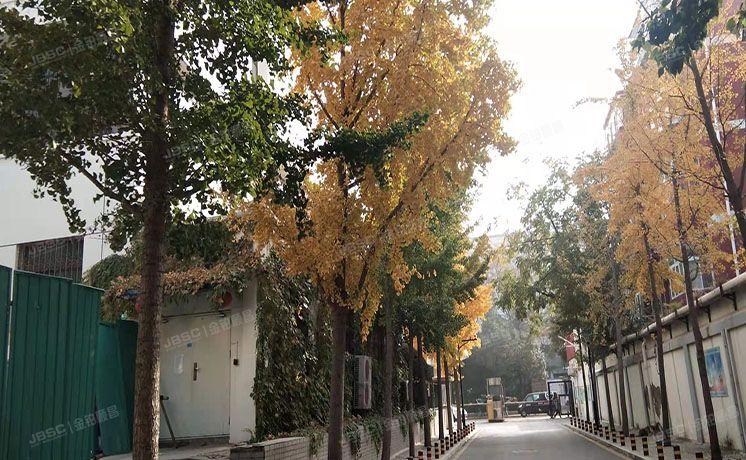 海淀区 大慧寺8号8号楼2层204（海洋局小区）