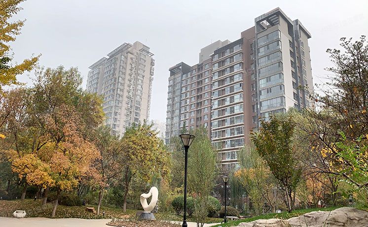 朝阳区 广渠门外大街三号院12号楼4层0503（富力城C区）