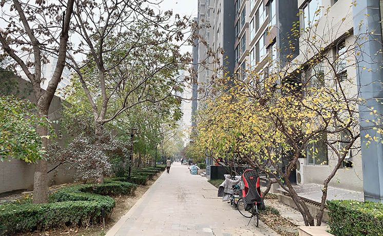 朝阳区 广渠门外大街三号院12号楼4层0503（富力城C区）