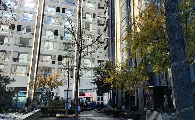 顺义区 裕民大街3号院1幢5层1单元609号（北京方糖） 办公