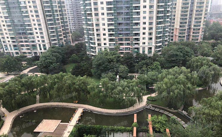 朝阳区 万科星园12号楼21至22层2401（万科星园）