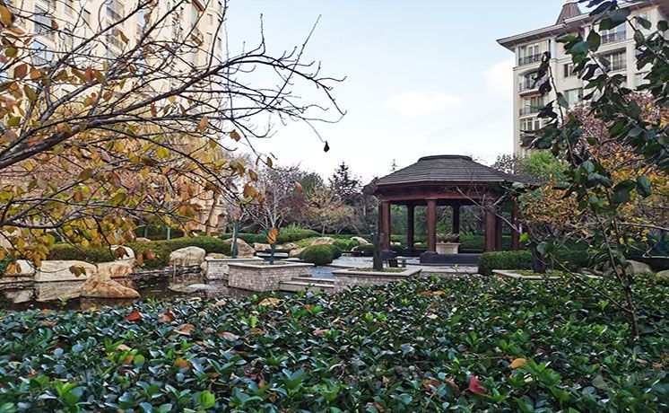 朝阳区 四季星河中街1号院9号楼2层2单元202号（星河湾朗园）